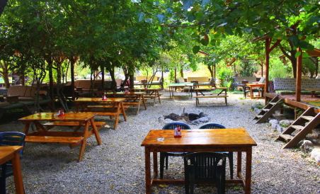 Saban Pansion Treehouses - Housity