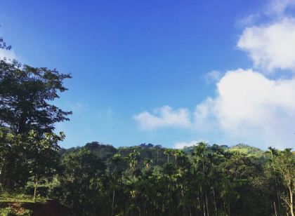 Amruthavana Resort