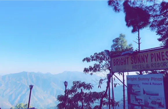 陽光松林度假村