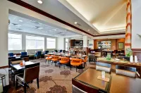 Hilton Garden Inn Tampa Northwest/Oldsmar Hotels in Westchase