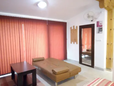 Studio Apartment in Palamartsa