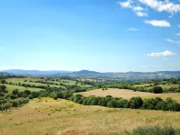 Ginestra - Pet friendly