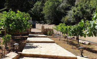Chaihoutes Stone Villa into Olive Farm in Zia