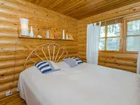 Honkakoli 3 Hotels in 