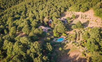 Hot Springs Area Tuscany Luxury Villa/Pool/ Private Gardens