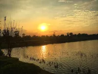 Gangdao Cottage (1 Yangang East Road)