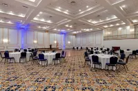 Hotel Flor Tampa Downtown, Tapestry Collection by Hilton Hotels in Tampa
