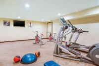 Comfort Inn & Suites Harrisburg - Hershey West - Træningscentre