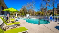 Best Western Pawleys Island Hotels in Pawleys Island