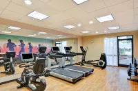 하얏트 플레이스 멤피스 울프체이스