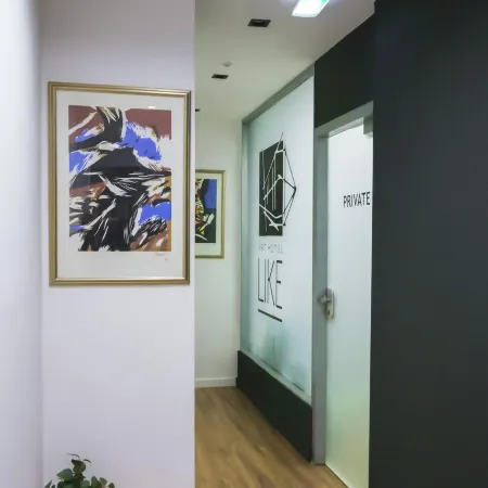 Art Hotel Like