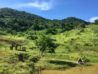 Hotel Fazenda Colina Hotels in Jacutinga