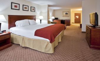 Holiday Inn Express & Suites ST. Petersburg North (I-275)