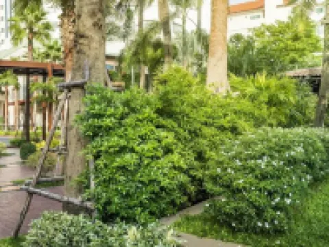 Jomtien Palm Beach Hotel and Resort - Family Friendly パタヤのホテル