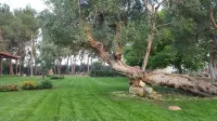 Tenuta Cavalieri Hotels near Supermercato Di Miccoli Cosimo