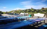 武功山觀音宕帳篷特色民宿 - 寵物友善