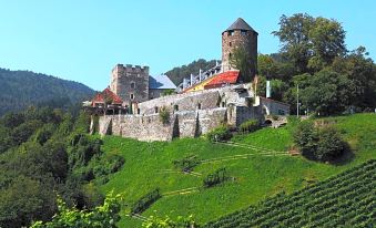 Burg Deutschlandsberg