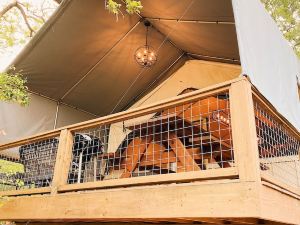 12 Son's Geronimo - Birdhouse Cabin