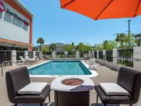 Best Western Plus Panama City Hotel Hotels in Bay County