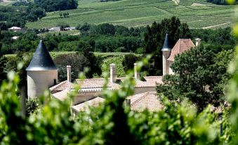 Château Toulouse-Lautrec Malromé