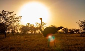 Waterberg Cottages, Private Game Reserve