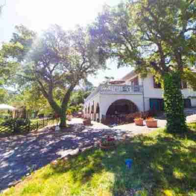 Residence Oasis Hotel Exterior