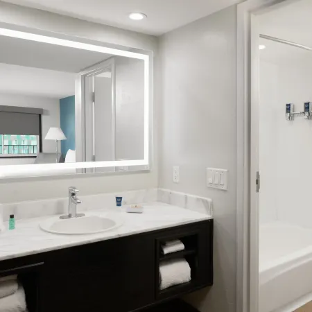 Four Points by Sheraton Anaheim