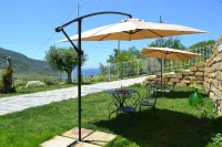 Hotel Myrtus Hotel in zona Palazzo Civico delle Arti
