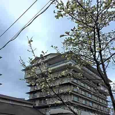 Hotel Seifuuen Hotel Exterior