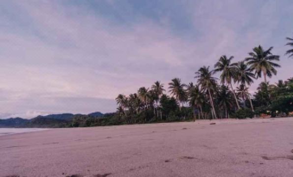 The Shores Beach Farm - Housity