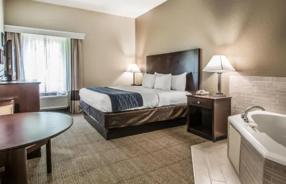 舒適套房酒店-近迪蘭大學