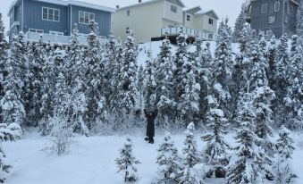 Aurora Deluxe Guest House - Housity