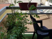 Compostela Hotels near Eglise Saint-Laurent