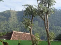 Shakila Guest House - Mountain view