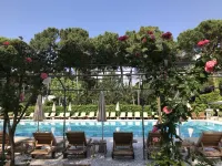 Hotel Greif - Infinity Pools