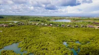 Mangrove View Resort - bar
