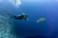 Ocean Bay Beach Resort Hotels in Alcoy