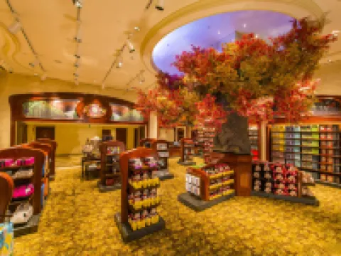 โรงแรมเซี่ยงไฮ้ดิสนีย์แลนด์ โรงแรมในเซี่ยงไฮ้