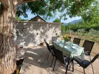 Villa Vinka Hotels in 