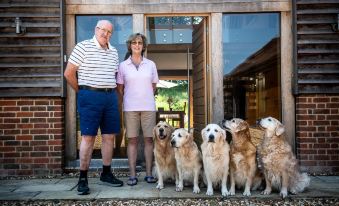 a man and woman are posing for a picture with a group of golden retriever dogs at South Park Farm Barn