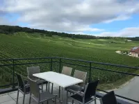 Dans les Vignes Hotels in Sermiers