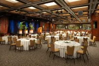 Sheraton Princess Kaiulani Waikiki Beach Hotels in Honolulu