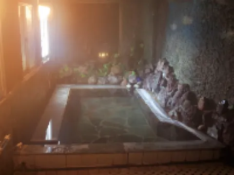 逆巻温泉 川津屋 津南町のホテル