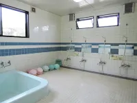 Wakamatsu Ryokan Hotels in Kamisu