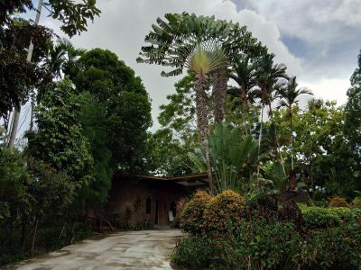 庭 セピロック ジャングル リゾートの写真