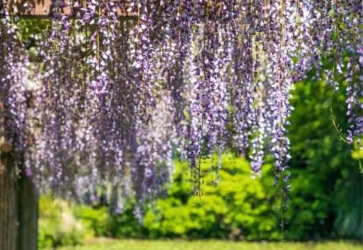 4. 오다와라 터미널..