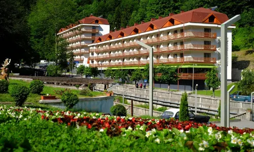 Sairme Hotels & Resorts