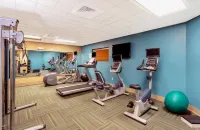 Holiday Inn Express & Suites BRADENTON EAST-LAKEWOOD RANCH by IHG - Wifi