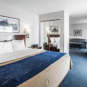 Comfort Inn Bellingham