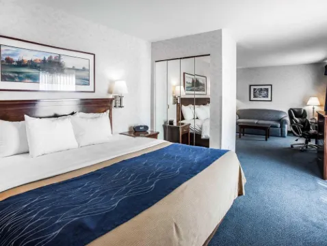 Comfort Inn Bellingham